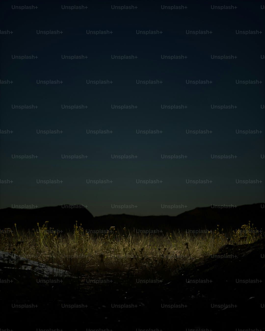https://picture01.52hrttpic.com/image/infoImage/202411/27/fe715bef0e2fc46a1aa3e2b656e8c9463.jpeg?1015x761